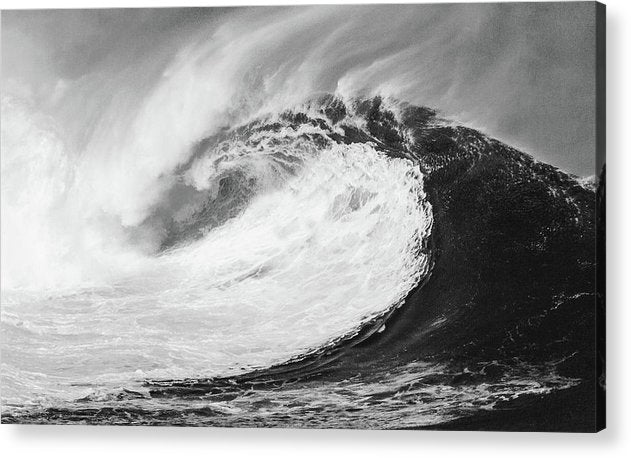 Giant Wave / Art Photo - Acrylic Print