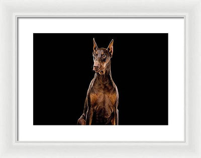 Ginger, Red Doberman Dog / Art Photo - Framed Print