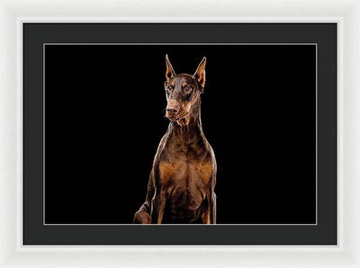 Ginger, Red Doberman Dog / Art Photo - Framed Print