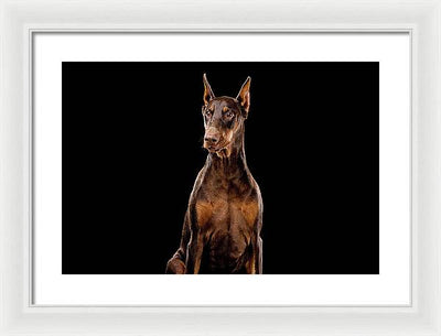 Ginger, Red Doberman Dog / Art Photo - Framed Print