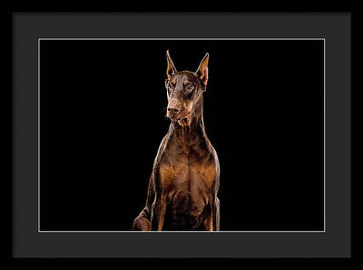 Ginger, Red Doberman Dog / Art Photo - Framed Print