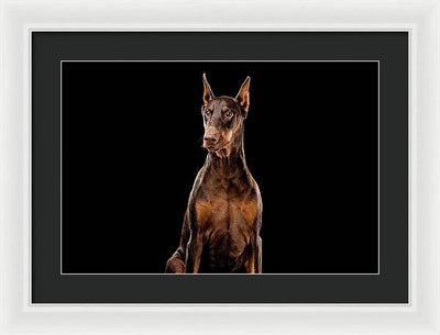 Ginger, Red Doberman Dog / Art Photo - Framed Print