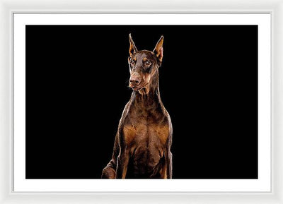 Ginger, Red Doberman Dog / Art Photo - Framed Print