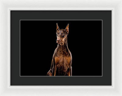 Ginger, Red Doberman Dog / Art Photo - Framed Print