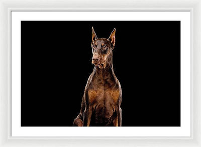 Ginger, Red Doberman Dog / Art Photo - Framed Print