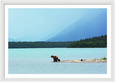 Grizzly with Cubs, Alaska / Art Photo - Framed Print