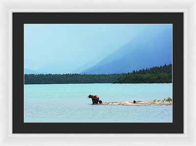 Grizzly with Cubs, Alaska / Art Photo - Framed Print