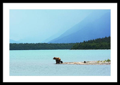 Grizzly with Cubs, Alaska / Art Photo - Framed Print