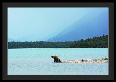 Grizzly with Cubs, Alaska / Art Photo - Framed Print