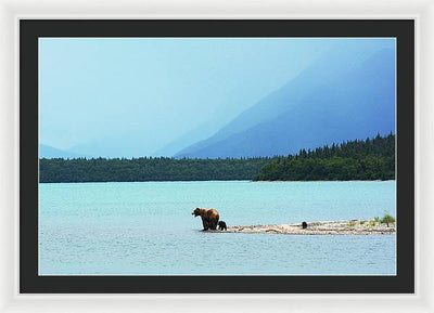 Grizzly with Cubs, Alaska / Art Photo - Framed Print