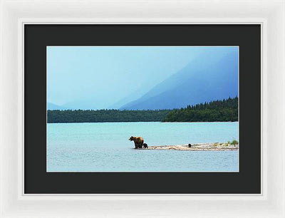 Grizzly with Cubs, Alaska / Art Photo - Framed Print