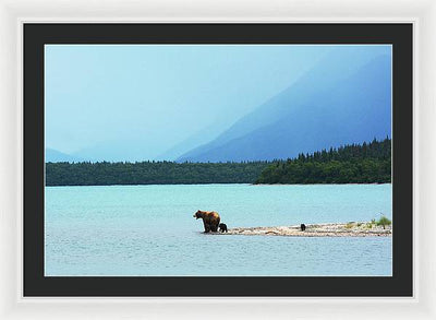 Grizzly with Cubs, Alaska / Art Photo - Framed Print