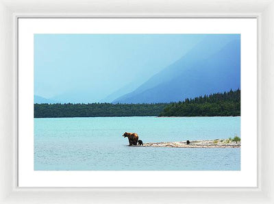 Grizzly with Cubs, Alaska / Art Photo - Framed Print