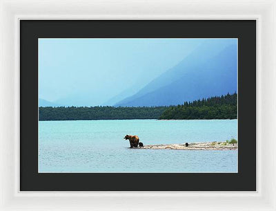 Grizzly with Cubs, Alaska / Art Photo - Framed Print