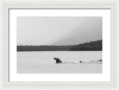 Grizzly with Spring Cubs, Alaska / Art Photo - Framed Print