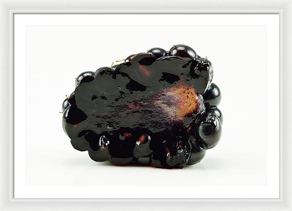 Halved Blackberry / Art Photo - Framed Print