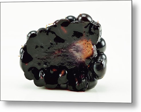 Halved Blackberry / Art Photo - Metal Print