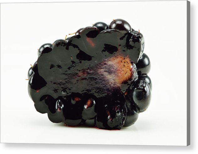 Halved Blackberry / Art Photo - Acrylic Print