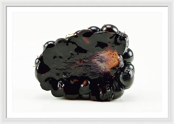 Halved Blackberry / Art Photo - Framed Print