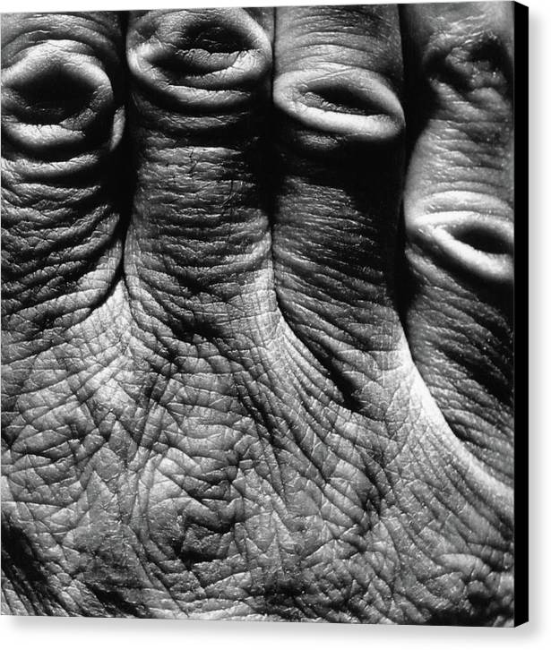 Hand / Art Photo - Canvas Print