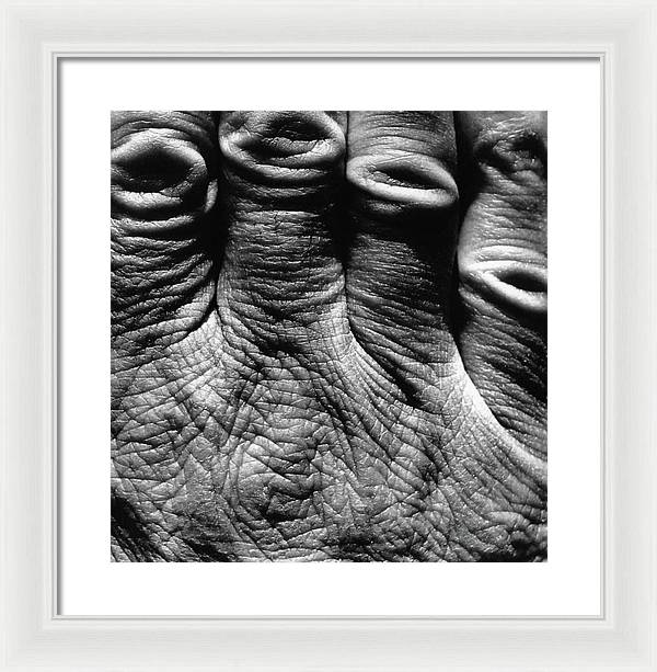 Hand / Art Photo - Framed Print