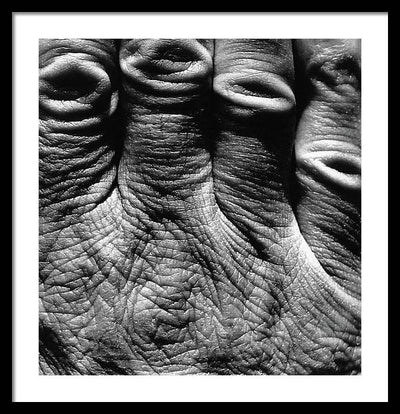 Hand / Art Photo - Framed Print