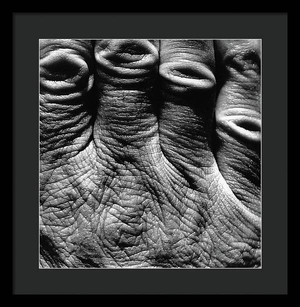 Hand / Art Photo - Framed Print