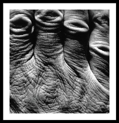 Hand / Art Photo - Framed Print