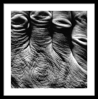 Hand / Art Photo - Framed Print