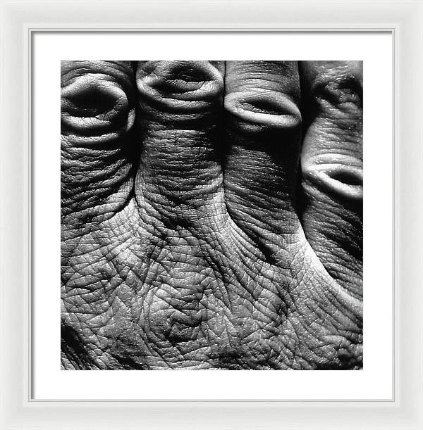 Hand / Art Photo - Framed Print