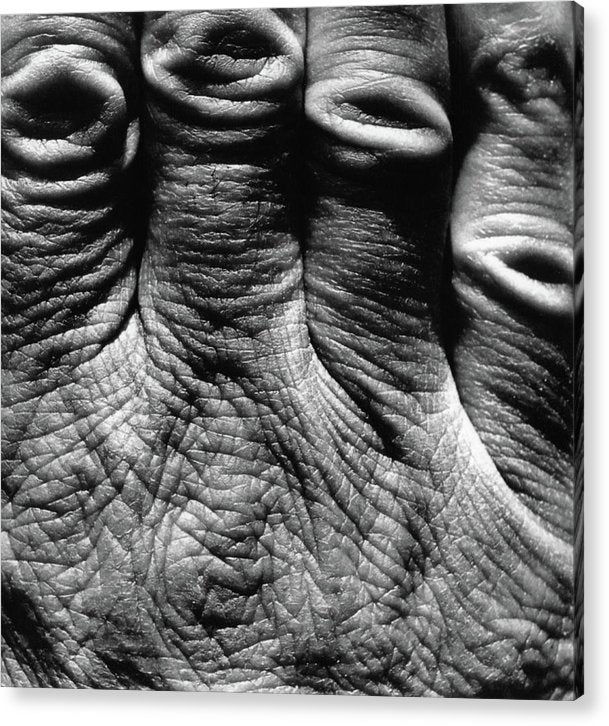 Hand / Art Photo - Acrylic Print