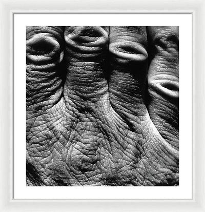 Hand / Art Photo - Framed Print