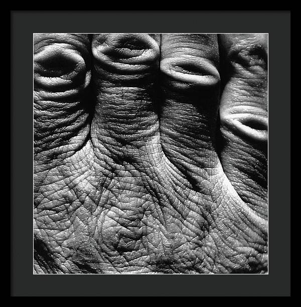 Hand / Art Photo - Framed Print