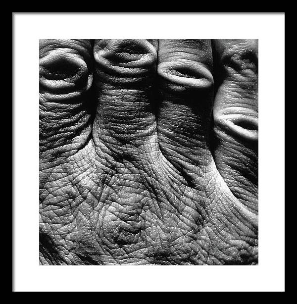 Hand / Art Photo - Framed Print