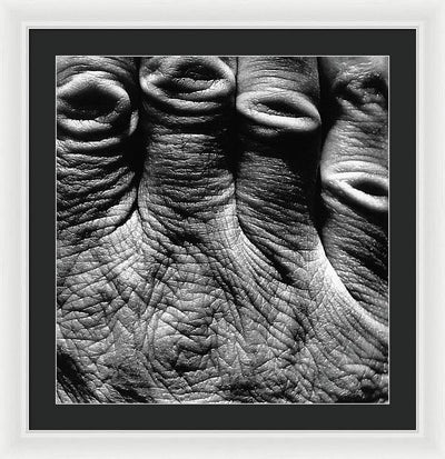 Hand / Art Photo - Framed Print