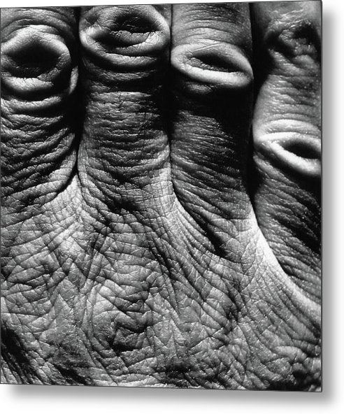 Hand / Art Photo - Metal Print