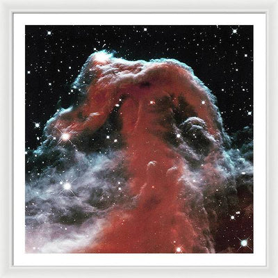 Horsehead / Art Photo - Framed Print