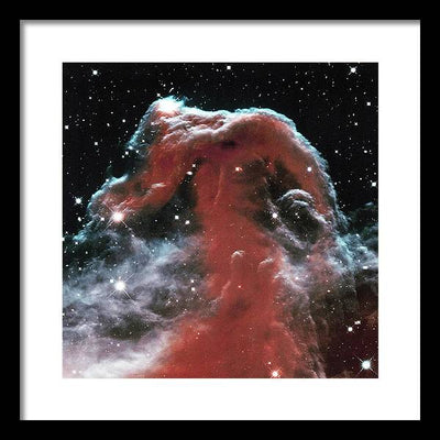 Horsehead / Art Photo - Framed Print