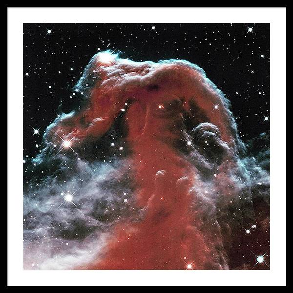 Horsehead / Art Photo - Framed Print