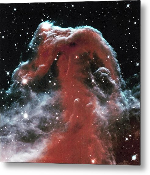 Horsehead / Art Photo - Metal Print