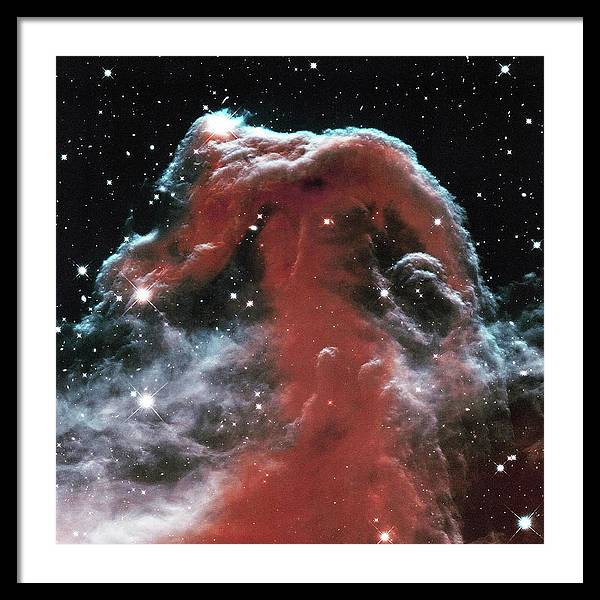 Horsehead / Art Photo - Framed Print