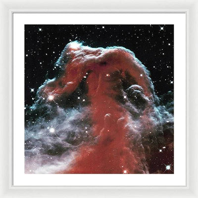 Horsehead / Art Photo - Framed Print