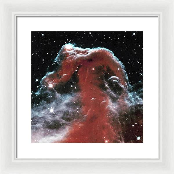 Horsehead / Art Photo - Framed Print