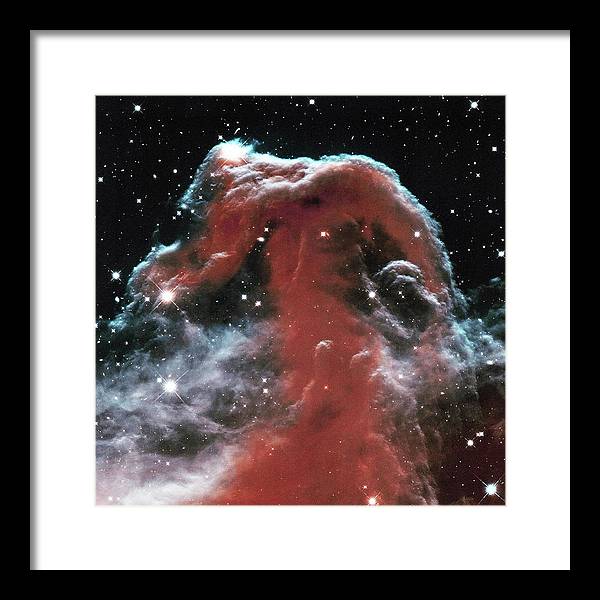 Horsehead / Art Photo - Framed Print