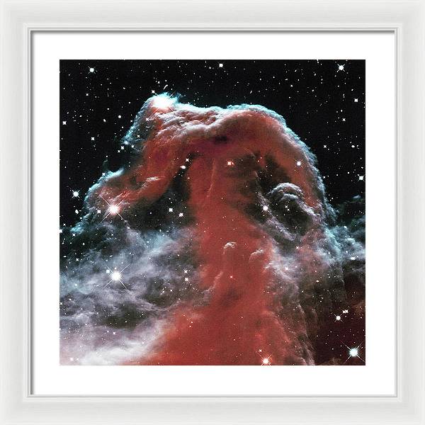 Horsehead / Art Photo - Framed Print