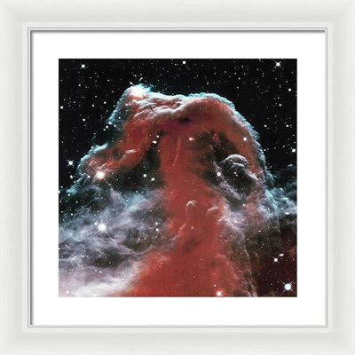 Horsehead / Art Photo - Framed Print