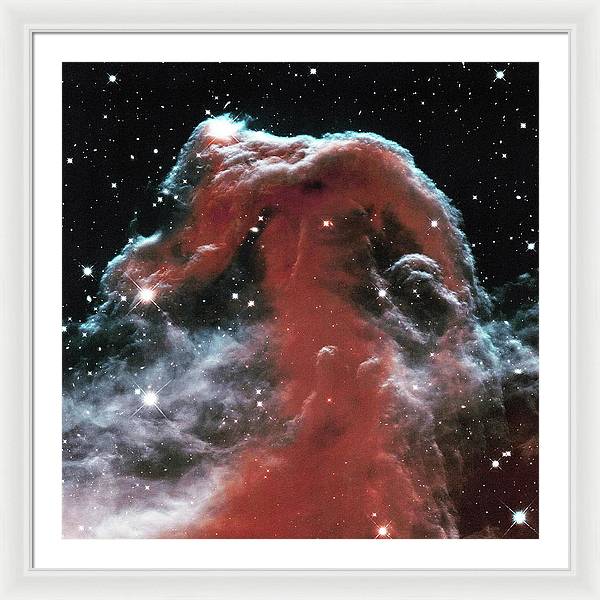 Horsehead / Art Photo - Framed Print