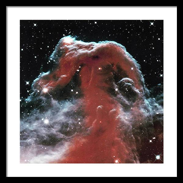 Horsehead / Art Photo - Framed Print