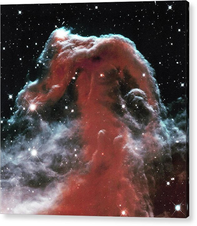 Horsehead / Art Photo - Acrylic Print