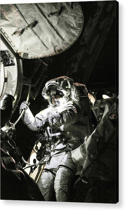 In Space, 2013 / Art Photo - Acrylic Print